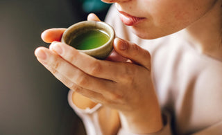 Usucha and Koicha: two traditional ways to prepare matcha